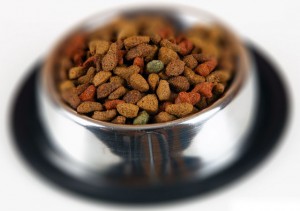 best dry dog food for finicky eaters