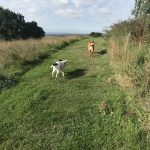 Amelie and Max enjoying a group walk